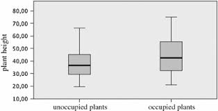 Attēlu rezultāti vaicājumam “Euphydrias aurinia underside”