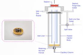 Image result for Splitz Gc