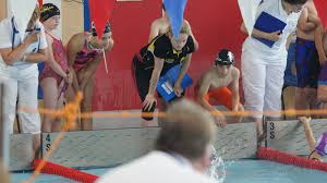 Image result for Swindon Dolphins Swimming Club