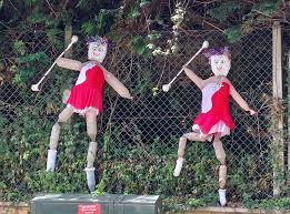 Image result for Castle Cary Cygnets Majorettes