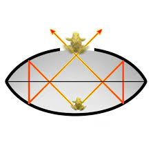 Image result for mirascope