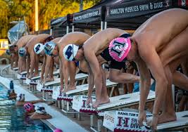 Image result for Perry Beeches Sutton Swim Squad