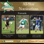 Image result for Lisnaskea Emmetts Gfc