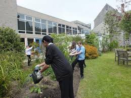 Image result for Sylvan Green 1981 Jaguar