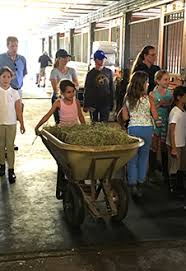 Image result for Cliff Hatch Stables