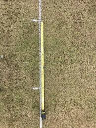 Image result for Pitch marking blog