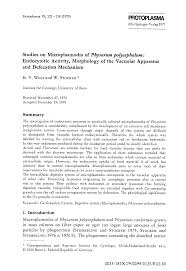 Attēlu rezultāti vaicājumam “Physarum confertum”