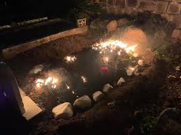 Image result for Graves Flames