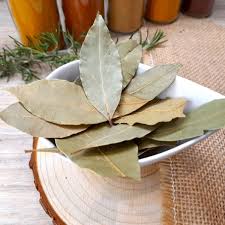 Image result for feuille-laurier-silex