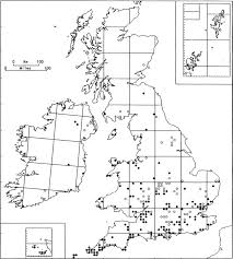 Attēlu rezultāti vaicājumam “Bryum neodamense”