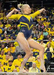 Image result for Custom Gymnastics Club