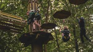 Image result for The Go Ape Experience (Delamere Forest)