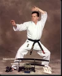 Image result for Northern Freestyle Karate Association
