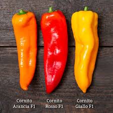 Afbeeldingsresultaat voor topepo giallo sweet pepper