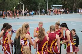 Image result for Wombles Netball Club