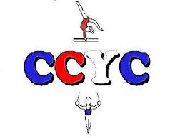 Image result for Cardiff Olympic Gymnastics Club