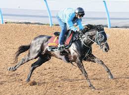 「ヴィクトリア・ウッド」の画像検索結果