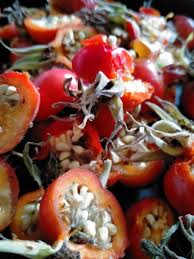 Attēlu rezultāti vaicājumam “Angelica sylvestris fruit”