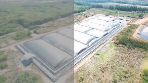 Image result for papop