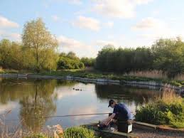 Image result for Hull & District Anglers' Association