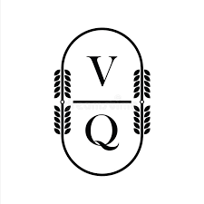 Image result for  v    q