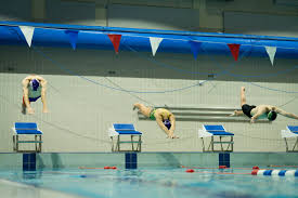 Image result for Selby Tiger Sharks Swimming Club