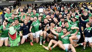 Image result for Shamrocks Hurling & Football Club