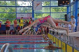 Image result for Swindon Dolphins