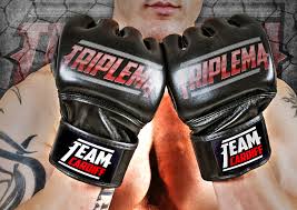 Image result for Cardiff Mma