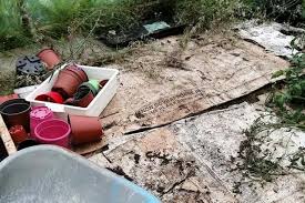 Image result for Ballymena Vandals