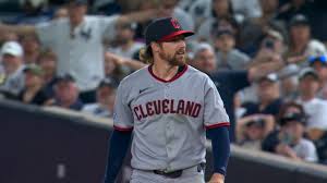 Image result for Schneemann