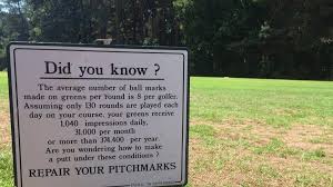 Image result for Pitch marking blog