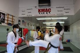 Image result for Martial Art Centre of Excellence