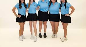 Image result for York University Golf Club
