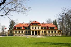 Attēlu rezultāti vaicājumam “Populus x lettland”