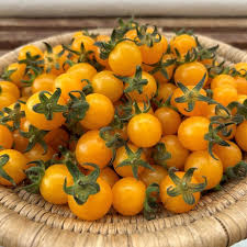 Afbeeldingsresultaat voor broad ripple yellow currant tomato