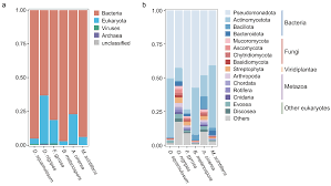 Attēlu rezultāti vaicājumam “Badhamia melanospora stalked”
