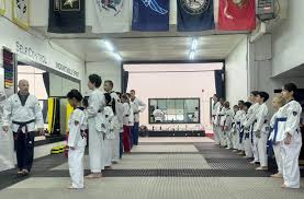 Image result for Freedom Martial Arts