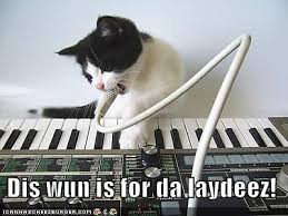 Image result for lulcatz