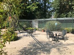 Image result for Arboretum Trompenburg