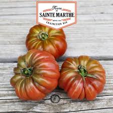 Afbeeldingsresultaat voor purple calabash tomato