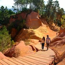 Image result for parque natural de camargue