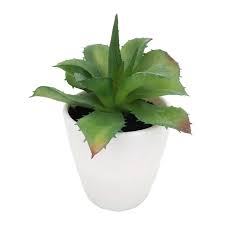 Image result for Mehikasvi