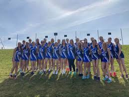 Image result for Beacon Netball Club