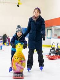 Image result for Aberdeen Linx Skating Club