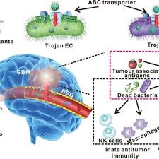 Image result for Trojan Abc