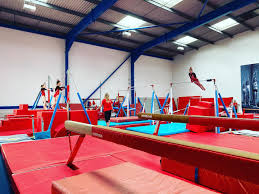 Image result for Redcar Gymnastics Club