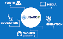 What We Do | UNAOC