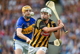 Image result for hurling