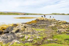 Image result for Scottish Rocks